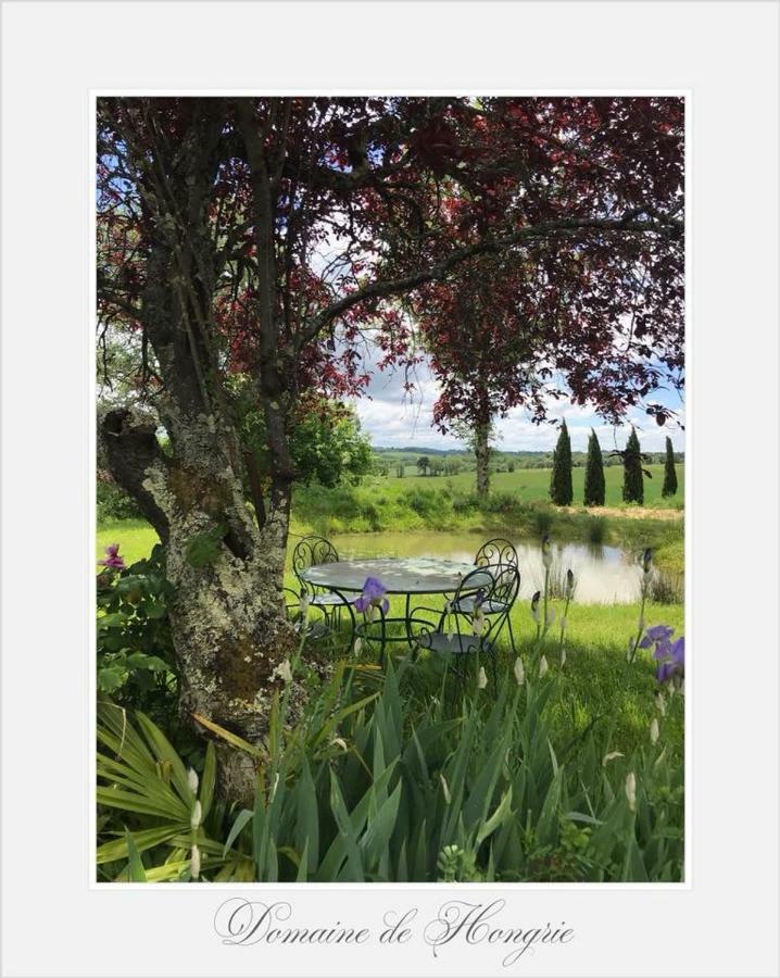 Domaine De Hongrie Hotel Nogaro Esterno foto